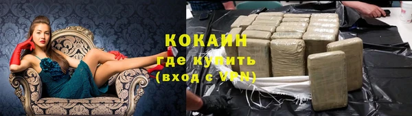 индика Мегион
