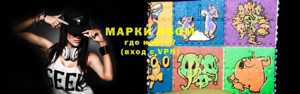 прущие грибы Майский