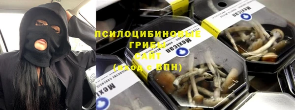 индика Мегион