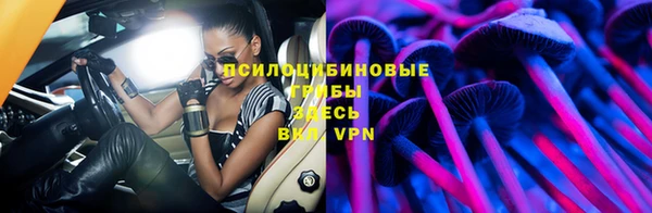 Альфа ПВП Магадан