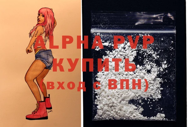 спиды Медвежьегорск