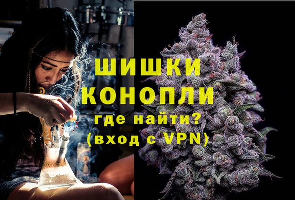 Альфа ПВП Магадан