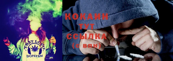 индика Мегион
