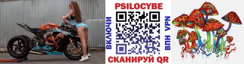Псилоцибиновые грибы мицелий  Надым 
