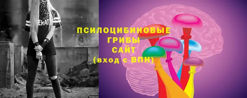 Галлюциногенные грибы Cubensis  Надым 