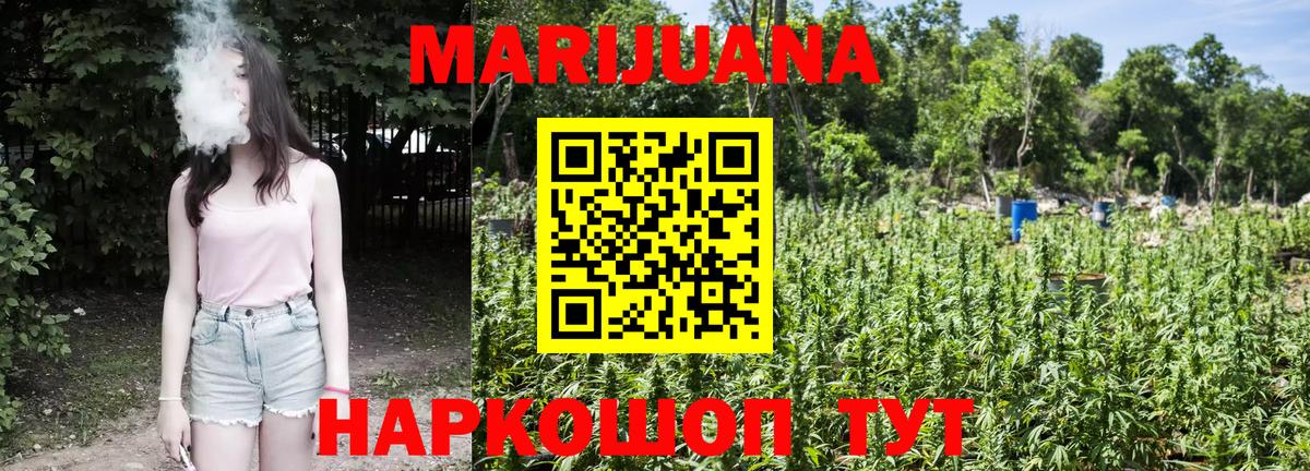 Канабис конопля  Надым  Конопля сатива 